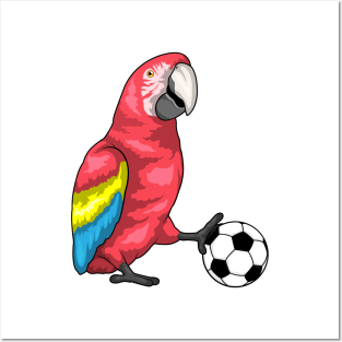 Parrot Soccer player Soccer Posters and Art